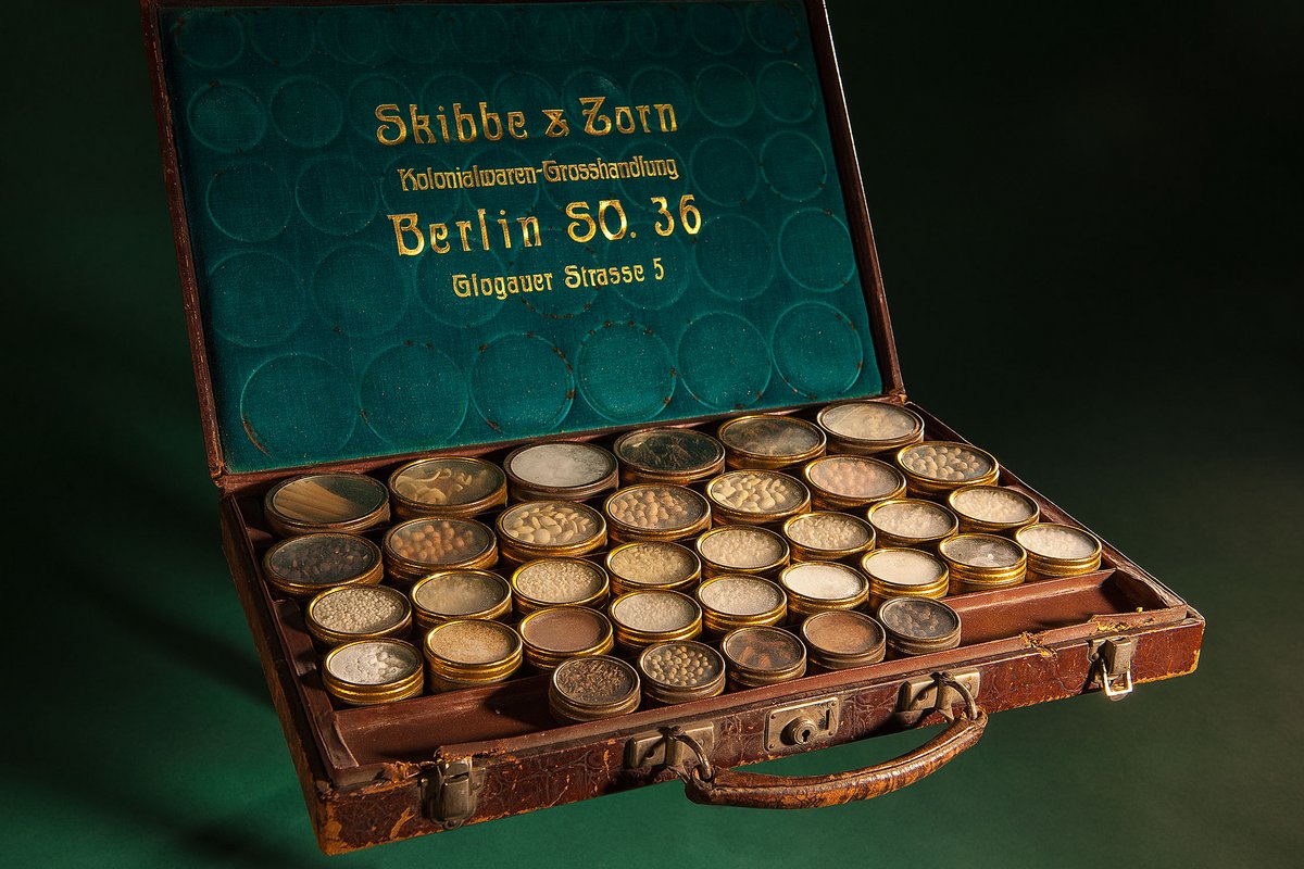 Lederkoffer mit verschiedenen kleinen Gefäßen, in denen sich Proben kolonialer Produkte wie Kakao befinden. Die Innenseite des Kofferdeckels trägt den Firmennamen Skibbe & Zorn.