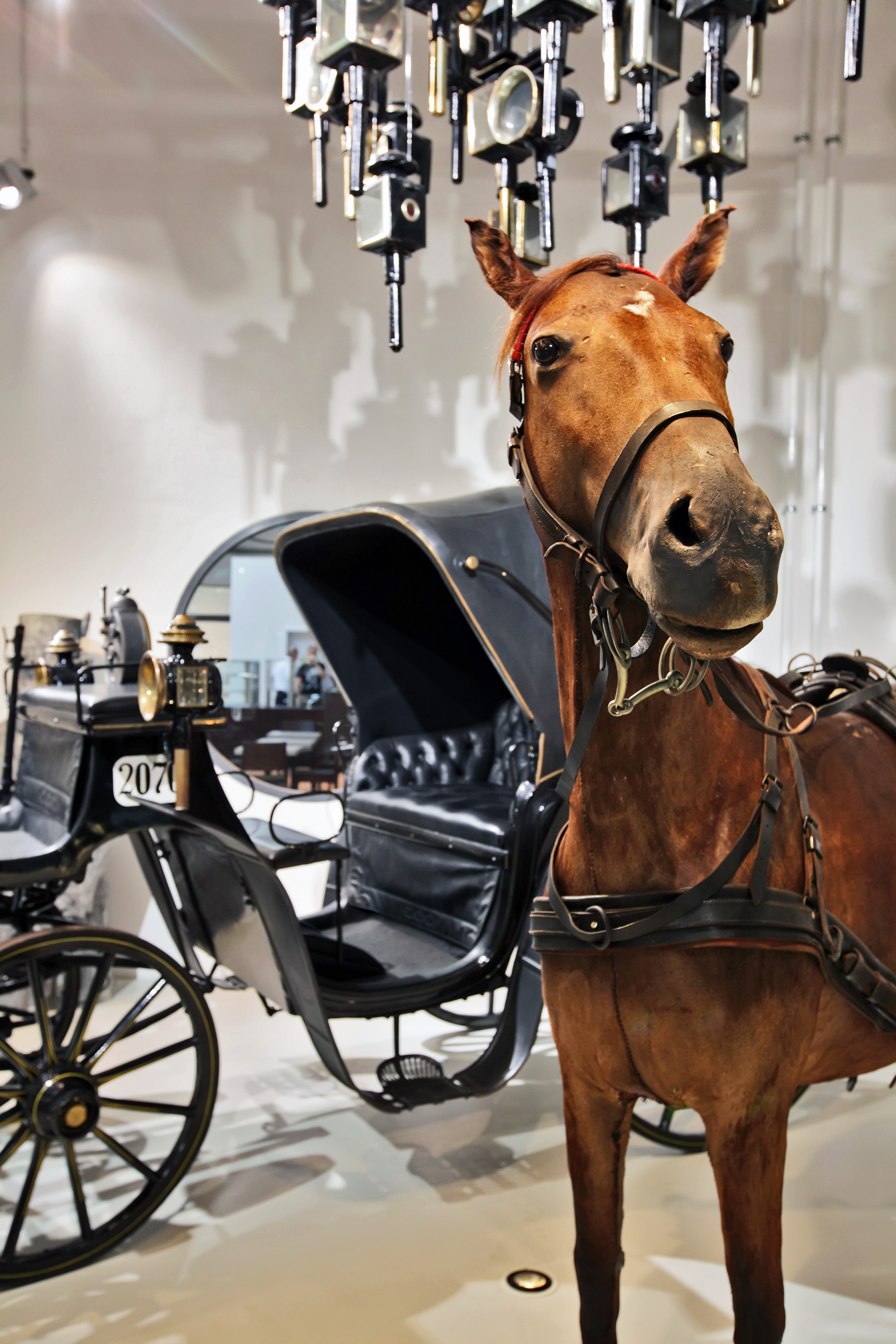 Ein präpariertes Pferd vor einer Kutsche, darüber hängt eine Deckeninstallation aus historischen Laternen. 